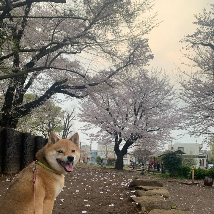 6170d3ee 3eb5 4afd 9693 580bdae046a6 1774784523855