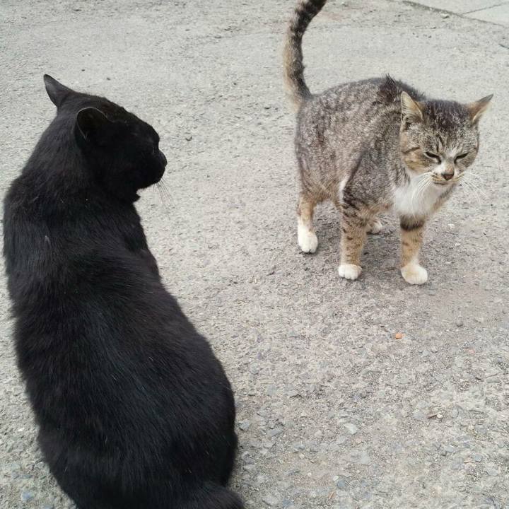 6170dca7 472a 454c 93a5 c585a4f562d1 1521557132524