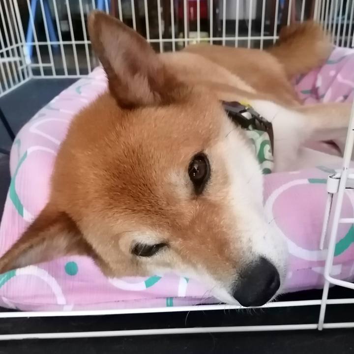 6170e162 f557 4f34 b913 6f0a350055ea 1596427062532