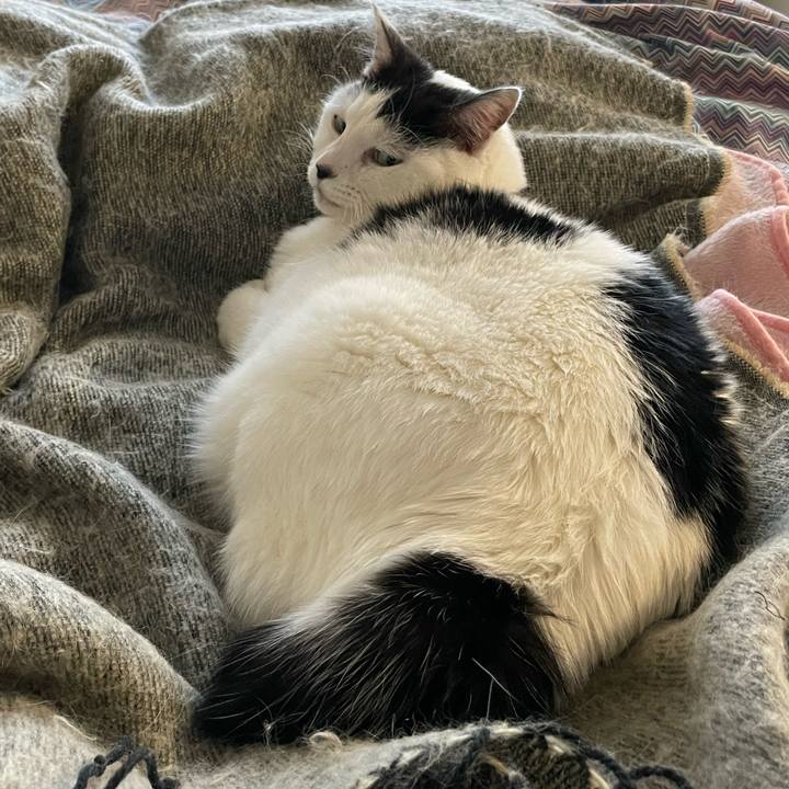 6170e493 3f1a 4b44 9405 6aae6430a9b2 1638401807323