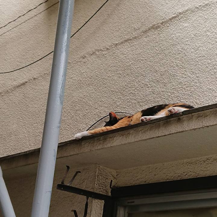 617100d1 0a2c 4804 bce9 ff70c5a5fcbf 1564209906649