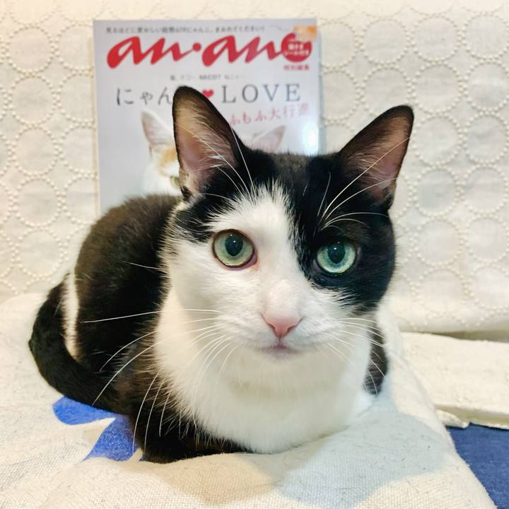 61711bc3 a1de 4551 b6cc baee1afc3180 1708683443523