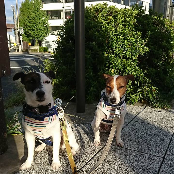 61712811 c37f 4b1f a1d5 c5cdd83b8890 1536355114036