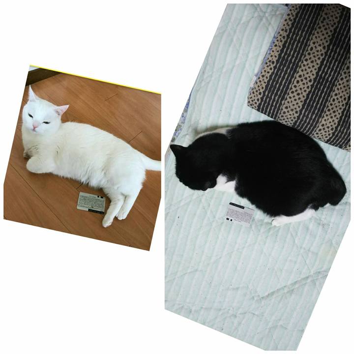 61712bba 9d96 4adf 8cbc 6284bc0c9edc 1536759432344