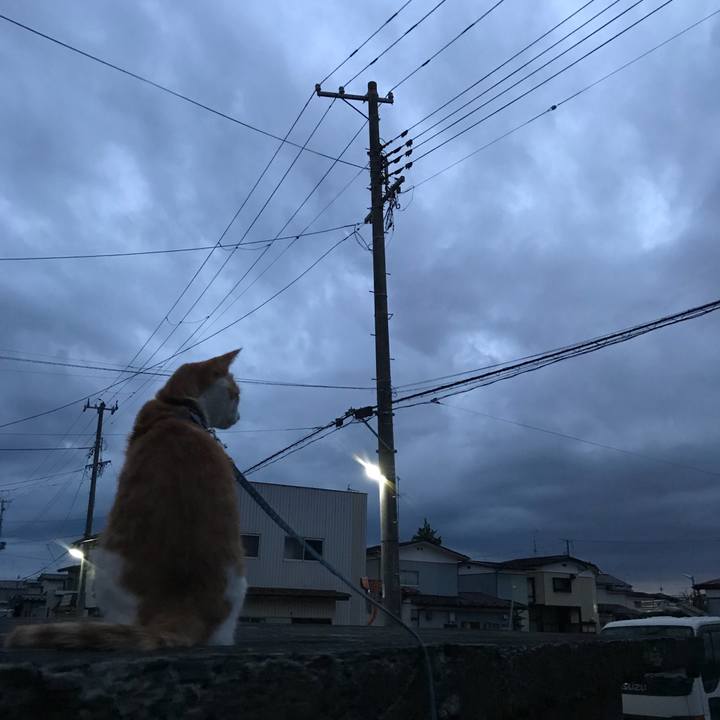 61713544 df8c 48ce b8c5 7a2f58a15ca0 1510996845264