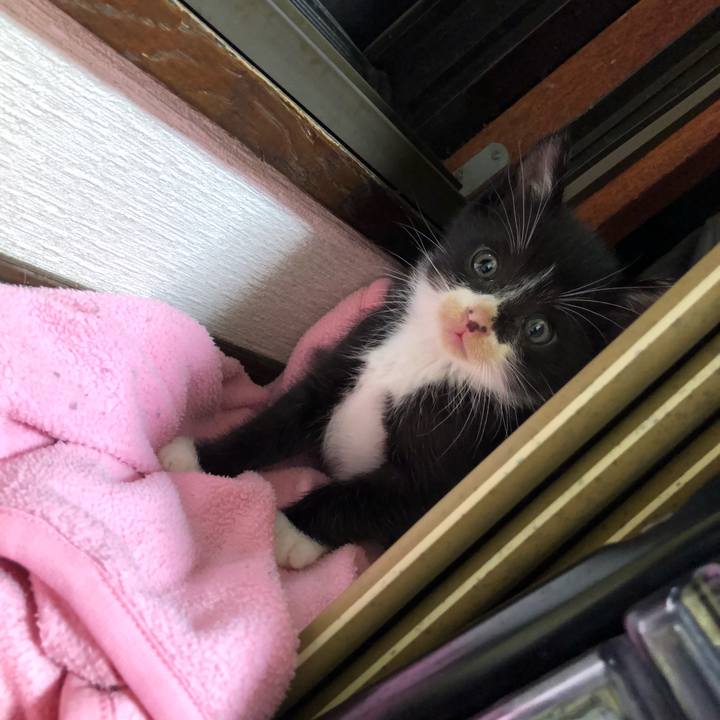 61716e21 c94b 488e 9b27 5ed76187fb3a 1537024423175