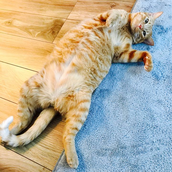 6171768b 3df4 43a2 bdfb 07ea91a8fa7e 1599270064784