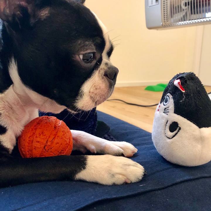 6171c5ca 1886 4420 aea4 c62ad094959d 1514342091492