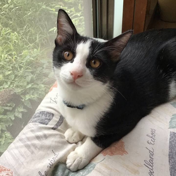 6171ebf4 2902 49ec a712 2b715e4ae809 1631949881961