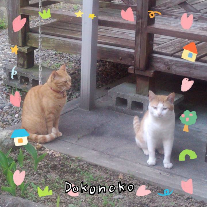 6171f0da 66cf 4bf8 a8f3 cd2af1dec3fb 1741357604444