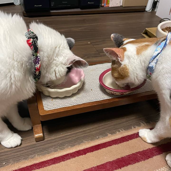 6171fc92 2b40 4223 9c53 9b25a896133b 1690290975911