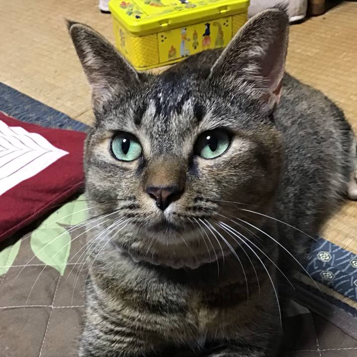 617227f4 0a61 432a 894c 6affff3ac69c 1666012565404