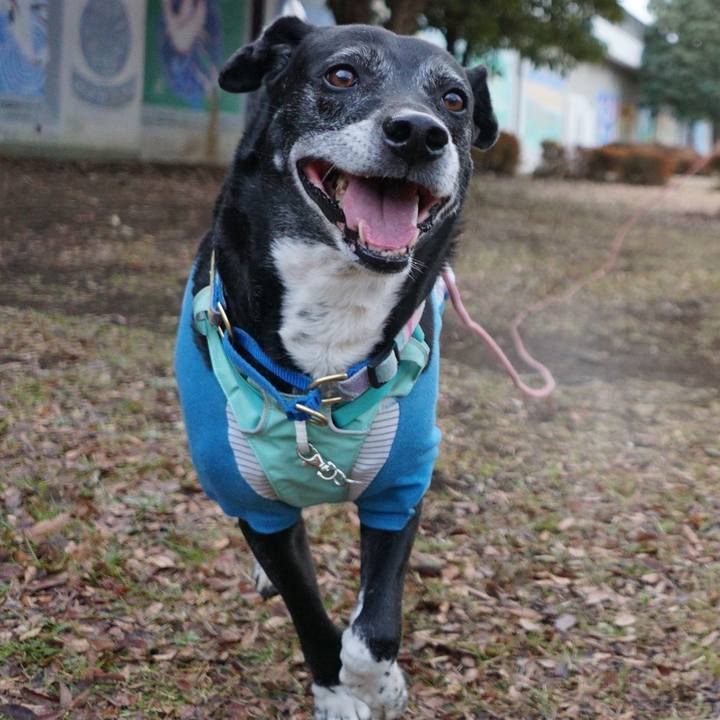 617239fe a484 43b4 9bc7 ef127989ff01 1770944169138