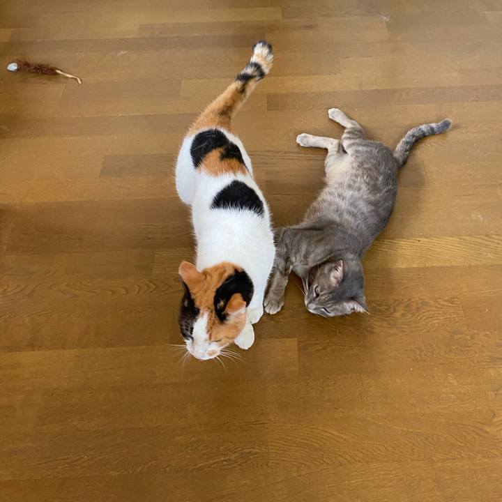 617252bc 44df 4465 97e9 694333ca38f6 1597960233412