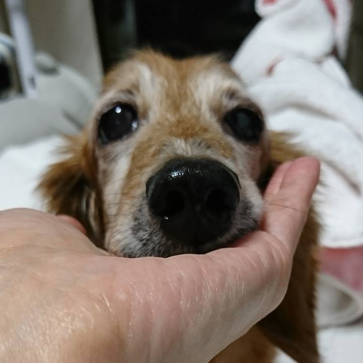 61725c96 df98 45e7 95c6 f0523e138112 1507599390356