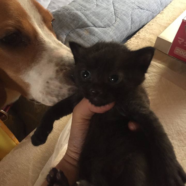 6172886b 9d7c 436b 8e89 24032a42c763 1524369614008