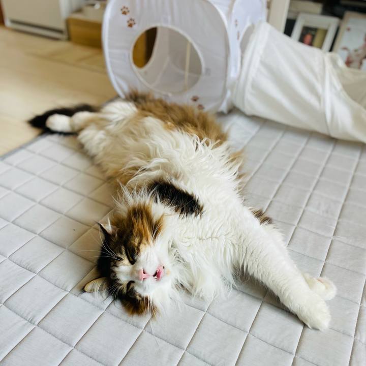 6172c349 58bc 4987 ba1d 1508f1874750 1718426751771