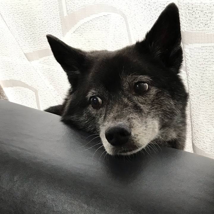 6172c8a9 cebc 452b b6c3 5e39b126e8df 1567385975030