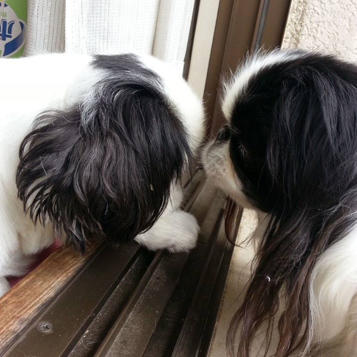 6172de63 c68c 4115 afe8 c6fd2365b8c5 1565910631780