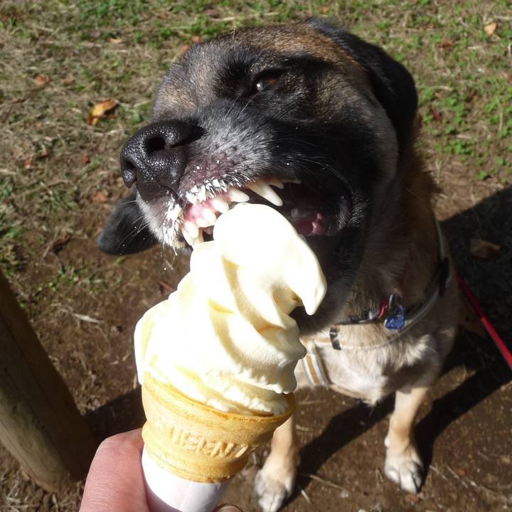 6172fda8 1bbd 4d35 9ba8 47fe7edb9a42 1576724986475