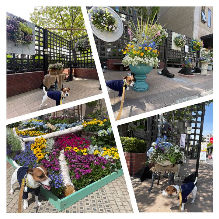 6173047c d08e 4cf4 8722 1fdca9c6dd75 1651302486234