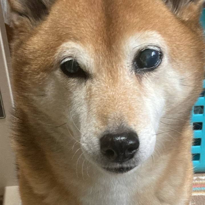 61733929 f1fc 4077 83a3 3074b474838c 1643971807014