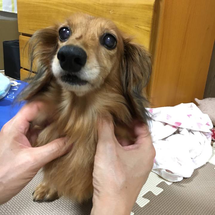 6173991e fb94 4e08 ab0d 4957a21978a0 1567603548395