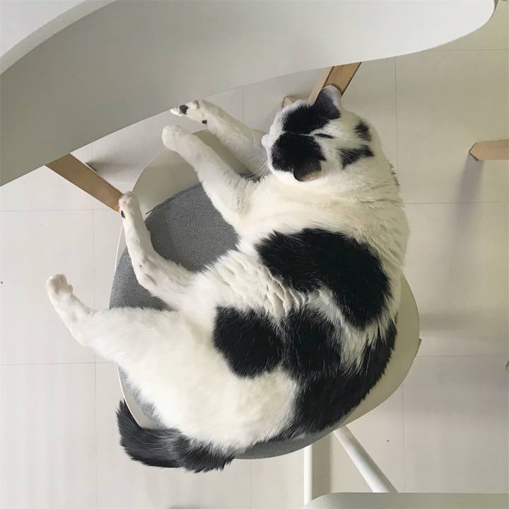 6173c77e dff1 4800 8614 3b13d5cb30e4 1515320099167