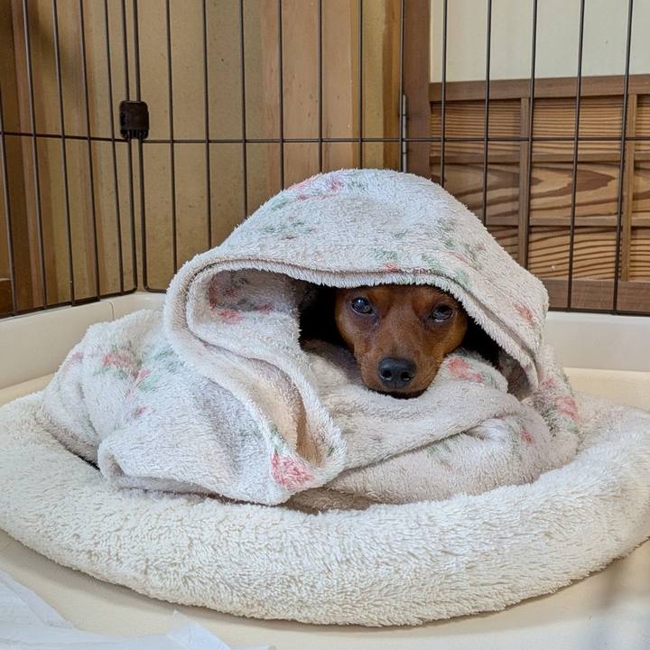 6173cdc1 7d74 49ed 8992 77ad71a9eede 1752829643052