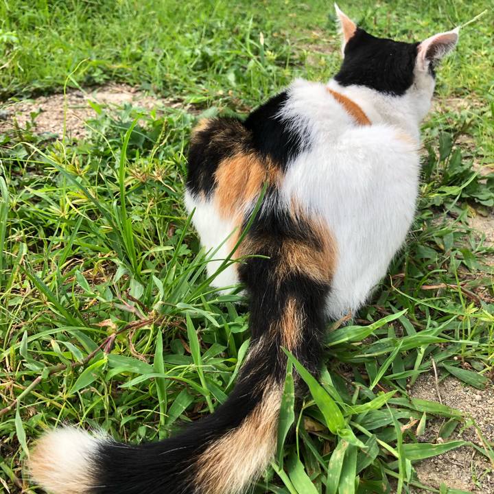 6173e384 5e6a 410b 9a64 268ab824f65b 1598394030477