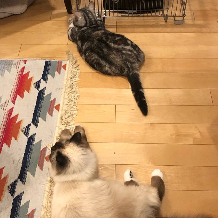 61743bb2 b2b1 4fcb 9de0 01fed8028401 1587733372139