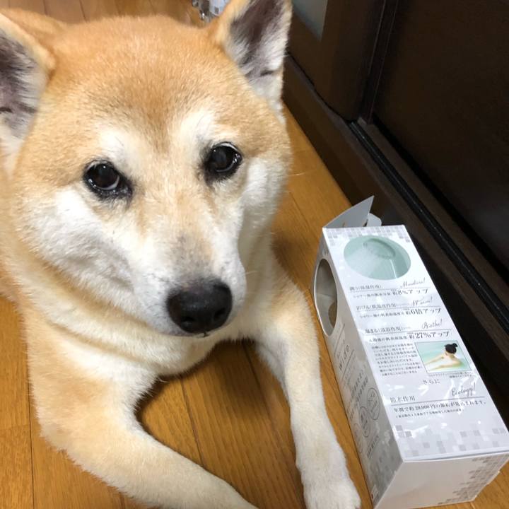 61748695 8e67 46b6 b4e1 240225078b56 1567853431413