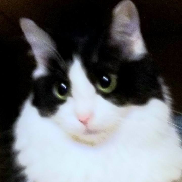 61749d96 e244 40ad be8e de9c32f81fd8 1582967239809