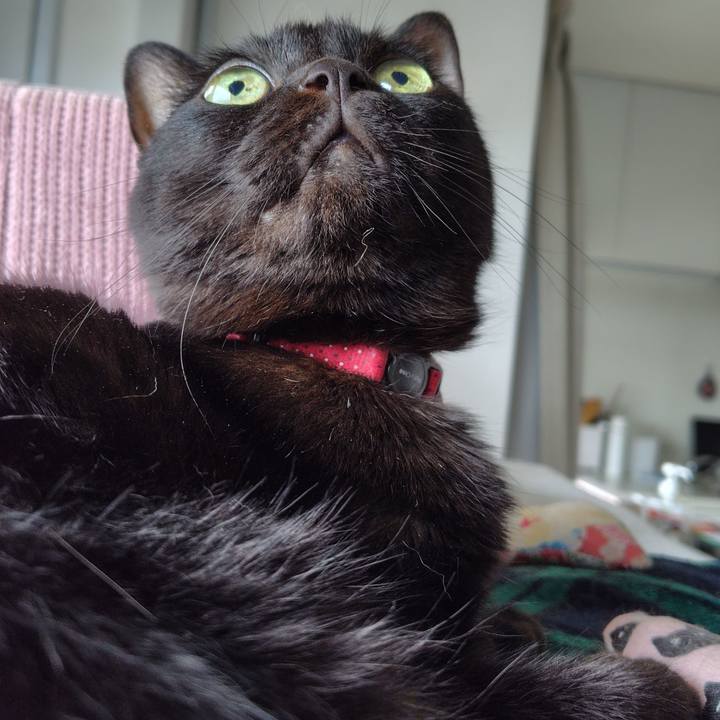 6174c0ea f690 4899 b25f e41994e0b6a4 1750890883755