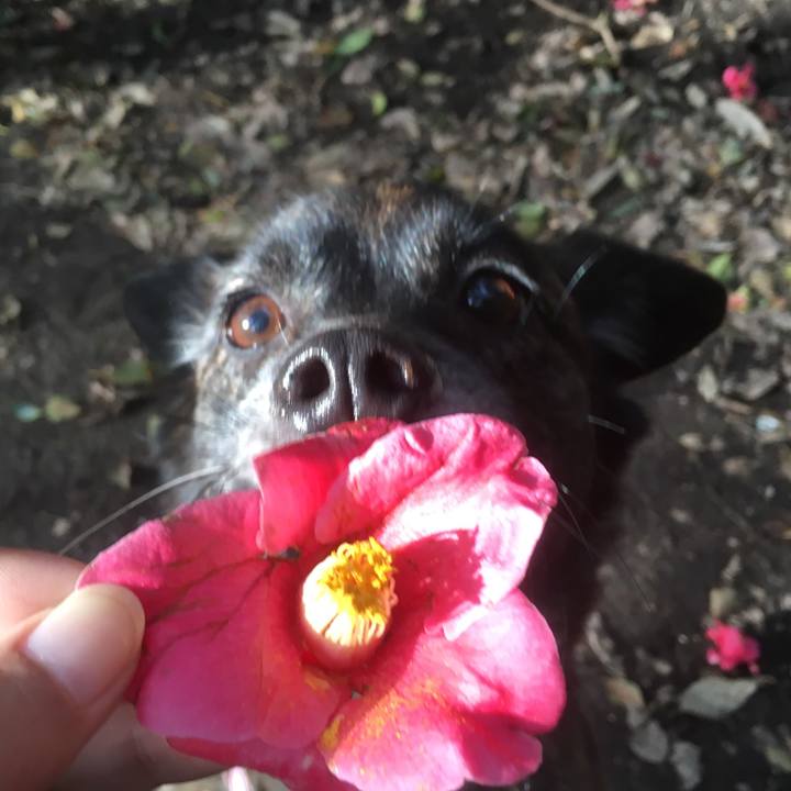 6174d288 9e29 45c6 ba8a 13aae9c81b36 1522416843450