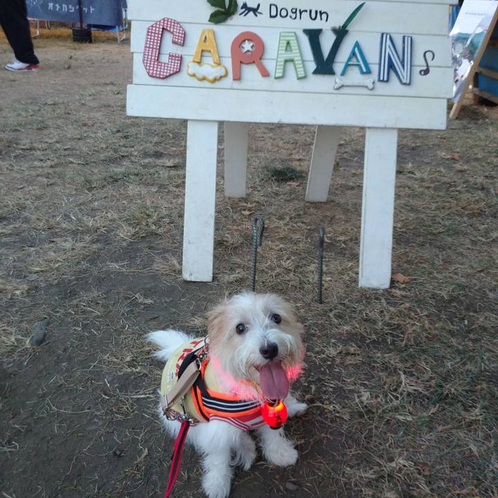 6174e062 8609 4e2b 9240 82926b449325 1756034776595