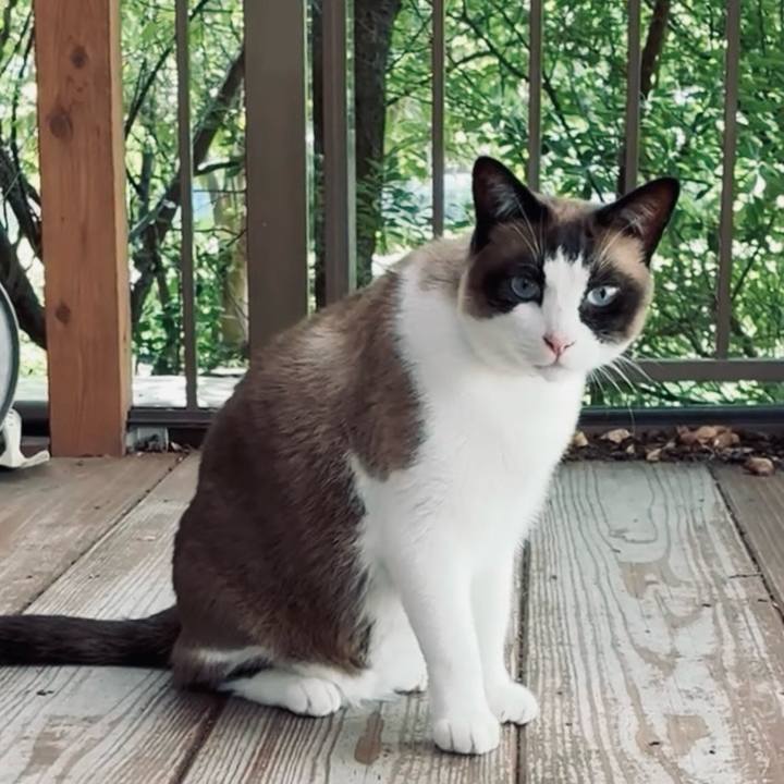 61750b18 17f1 42e0 80d9 f01a7f44deb9 1752112051876