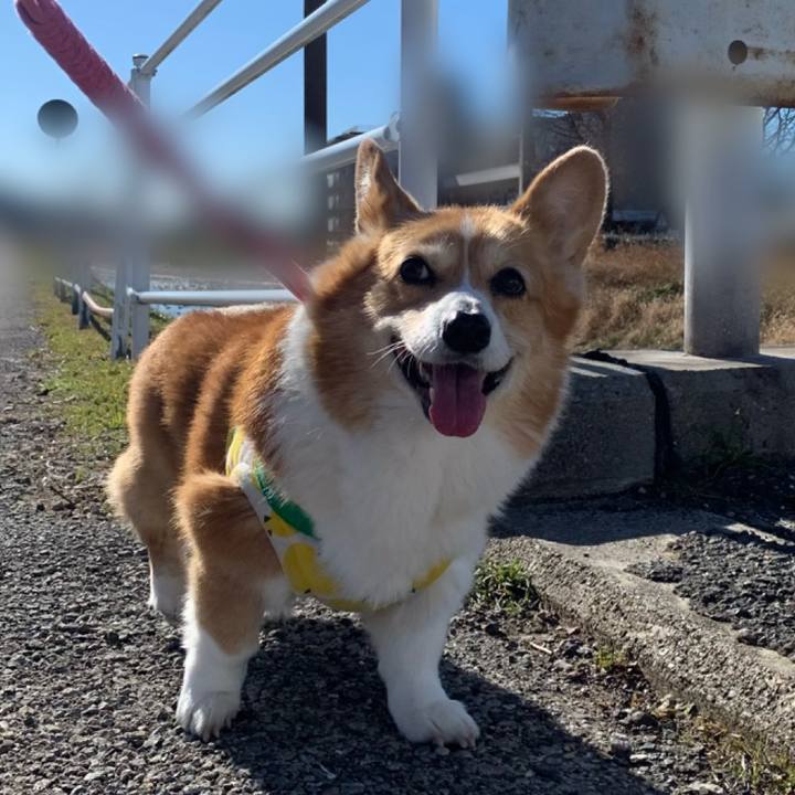 61750ee9 5e94 444b ac46 7d93ba202005 1704598076750