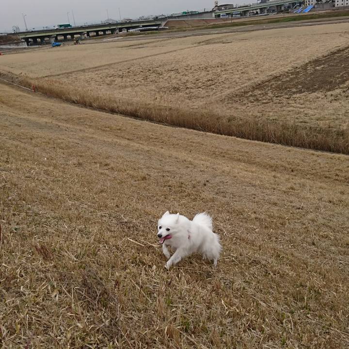 617539a5 8c2a 4084 8fd4 ff10a67673d3 1517465773720