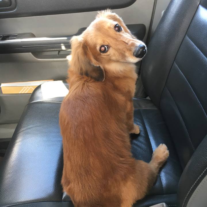 6175490c 3892 44a8 81da 4f338e3657f5 1601463047139