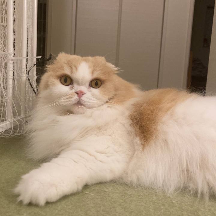 617560fc 4bb2 414e 9a46 e1dcbe006d4d 1678575001354