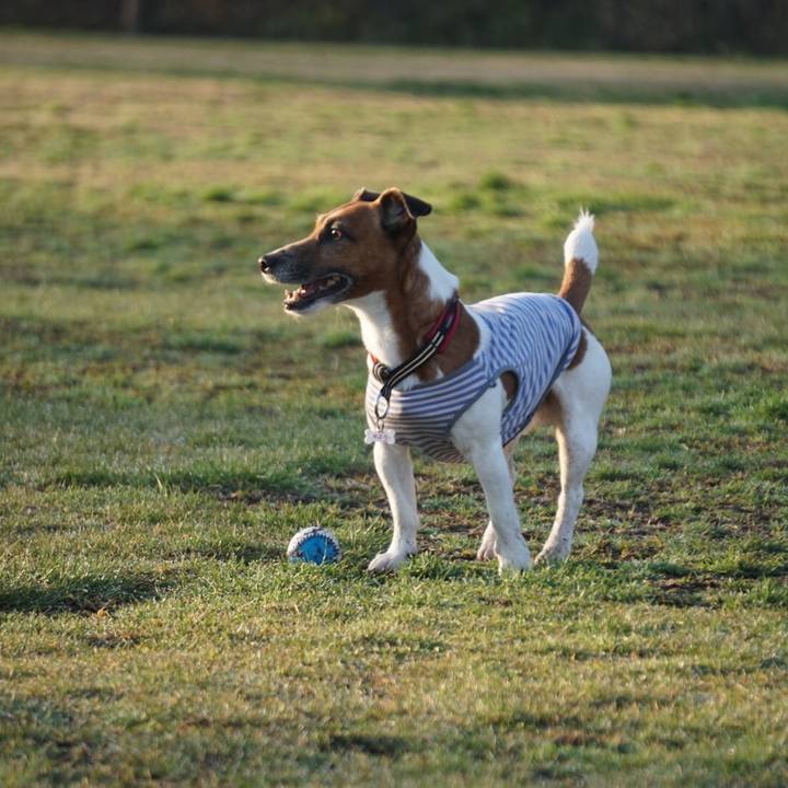 61758eb3 0dc8 4f21 9caf edd40dc5e2a1 1552603747481