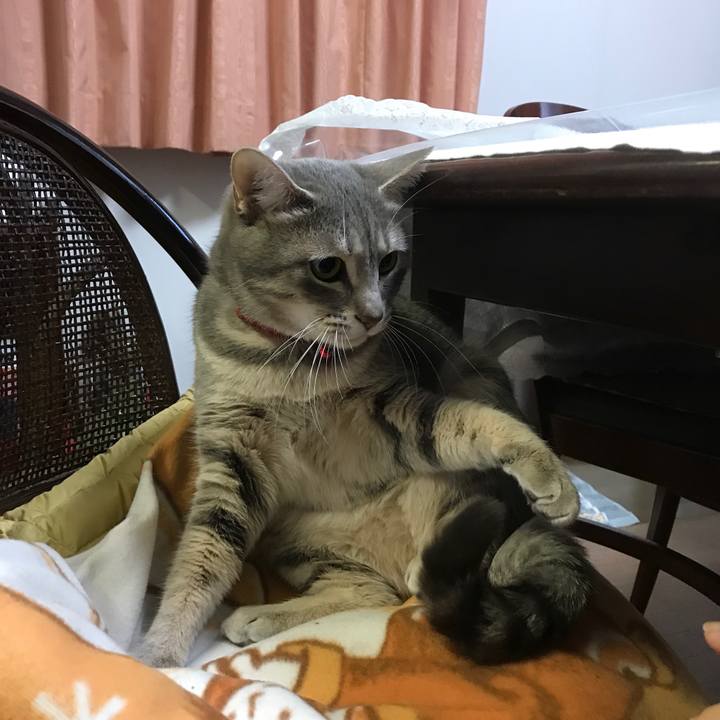 617594b5 9231 4c64 bb7c 6315b67bdba2 1545409690439