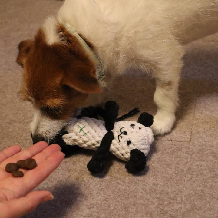 6175a33e 7a23 42c4 bc94 f3f46d7b4e90 1561242813081