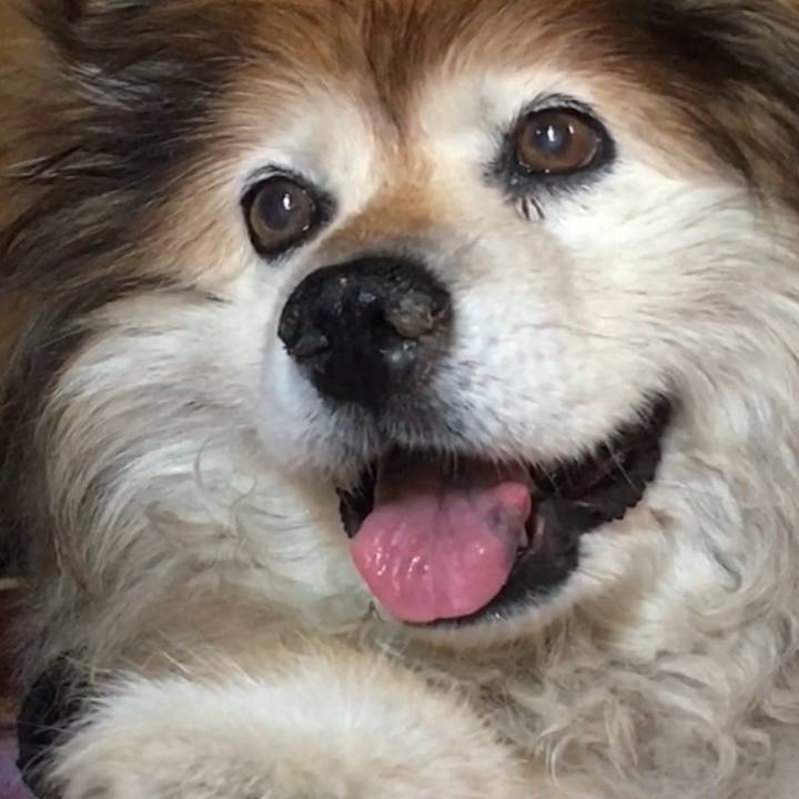 6175bb24 1a42 41b2 8702 cef71e0e45cb 1588119910742