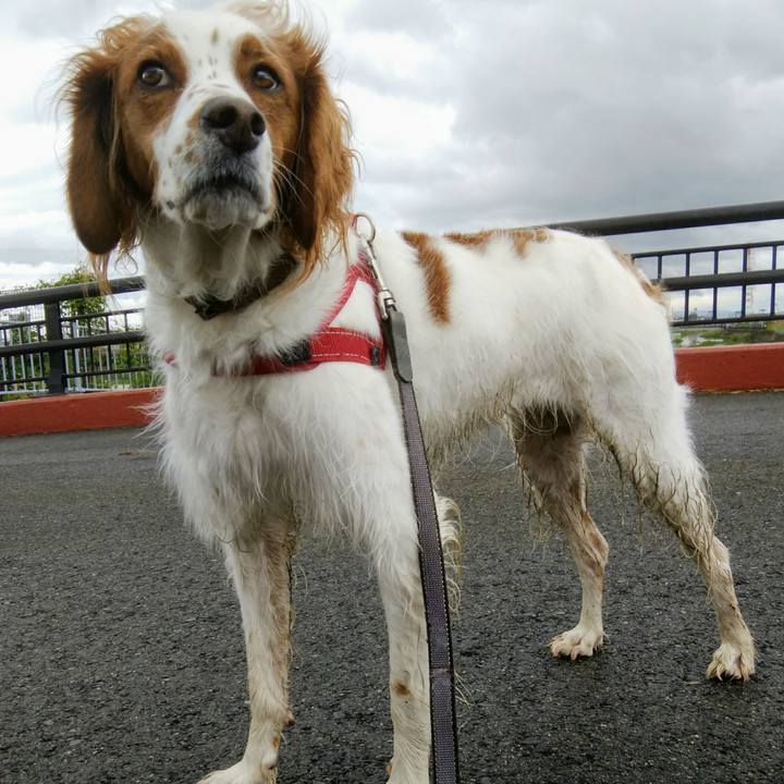 6175e040 8bef 4b55 8559 720eea040618 1538205957713