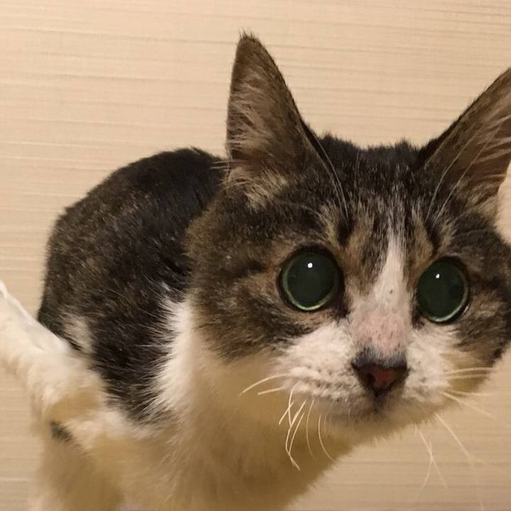 6175fb91 102b 4b56 a405 9133a2c5d1d0 1521640349188