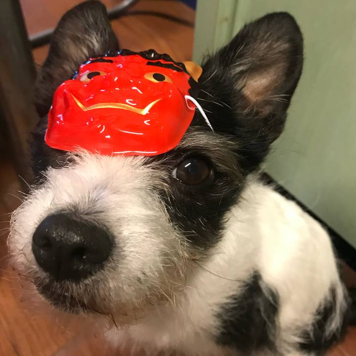 61767266 5c0e 4e66 8dfd 41966481a6c0 1611740488718