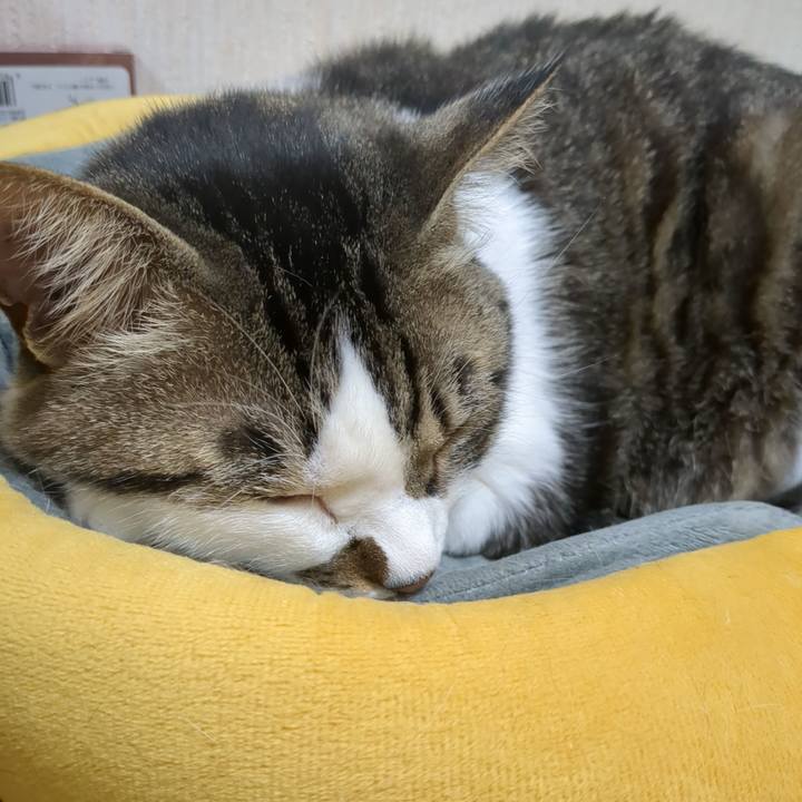 61768690 e03e 4d15 b5e7 d32a3b74c803 1680069138378