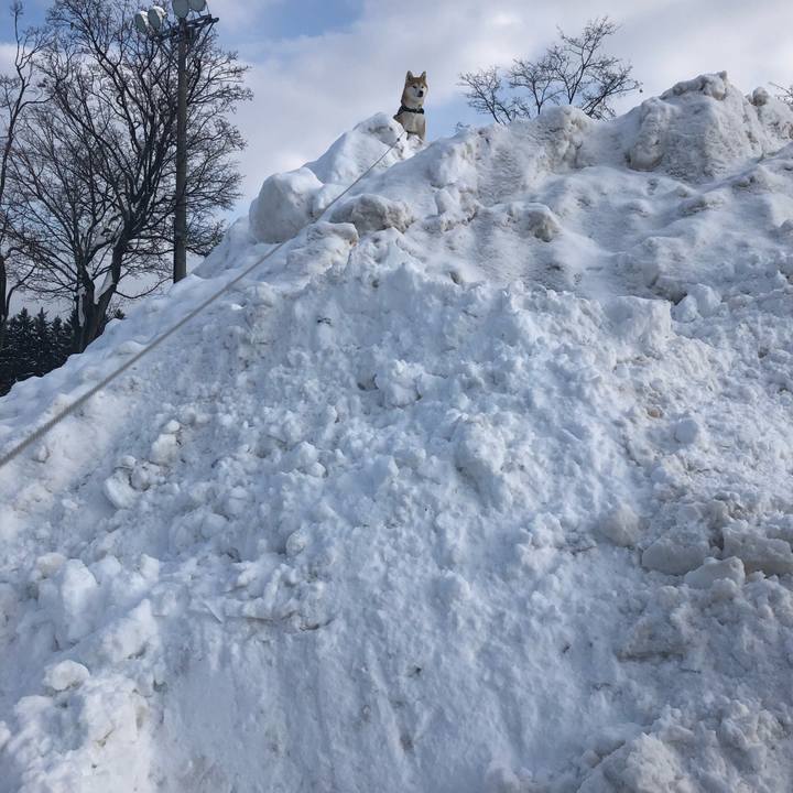 6176a73a 3724 4b11 b25d 76cba44923d8 1582159853407